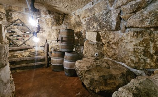 Aoc Côtes De Bourg Wine Château On 16 Hectares Ref 1029