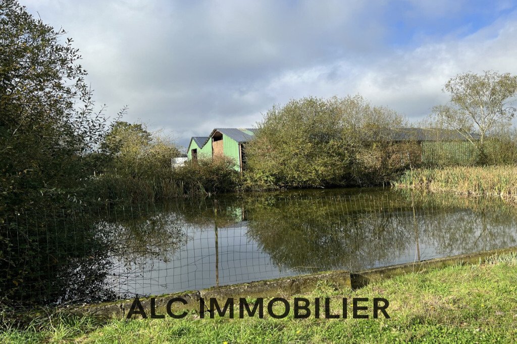 Villa in Villaines-la-Carelle, Pays de la Loire, France 1 - 16673170