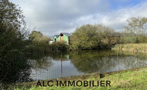 Villa en Villaines-la-Carelle, Países del Loira, Francia 1