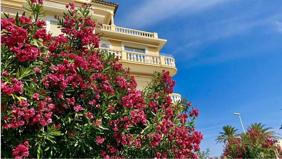 Apartment in Juan les Pins-Gallice, Antibes, France 5 - 17012901