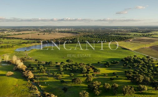 Tenuta a Poceirao e Marateca, Setúbal Municipality, Portogallo 1