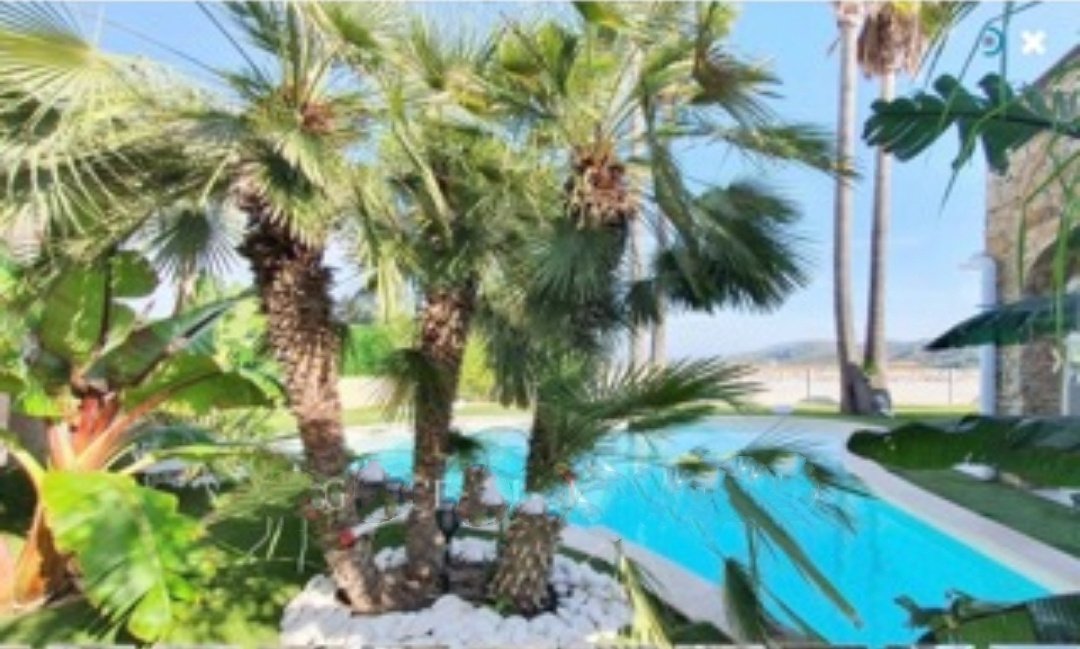 Villa in Exterieurs, Frejus, France 2 - 17013036