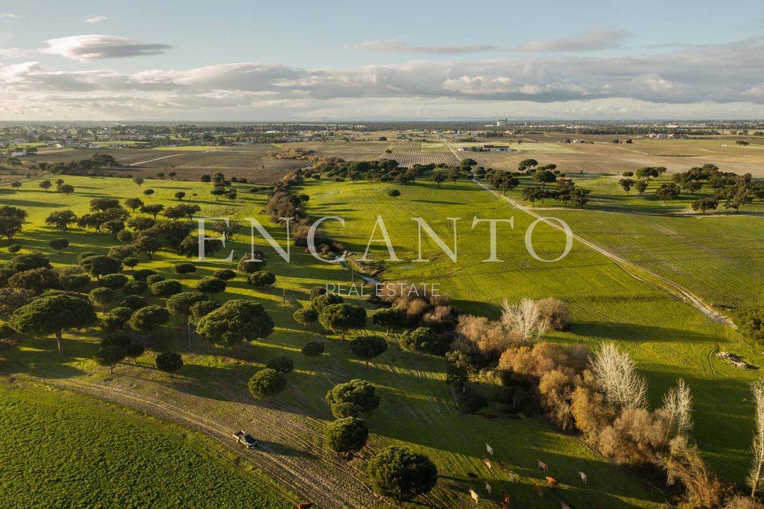 Estate in Poceirao e Marateca, Setubal, Portugal 3 - 17011766