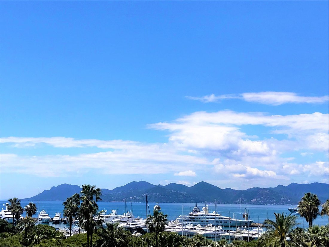 Apartment in Cannes, Provence-Alpes-Côte d'Azur, France 1 - 17012563