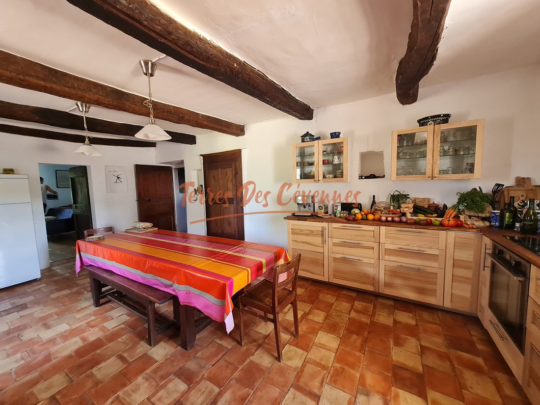 Estate in Anduze, Occitania, France 5 - 17010504
