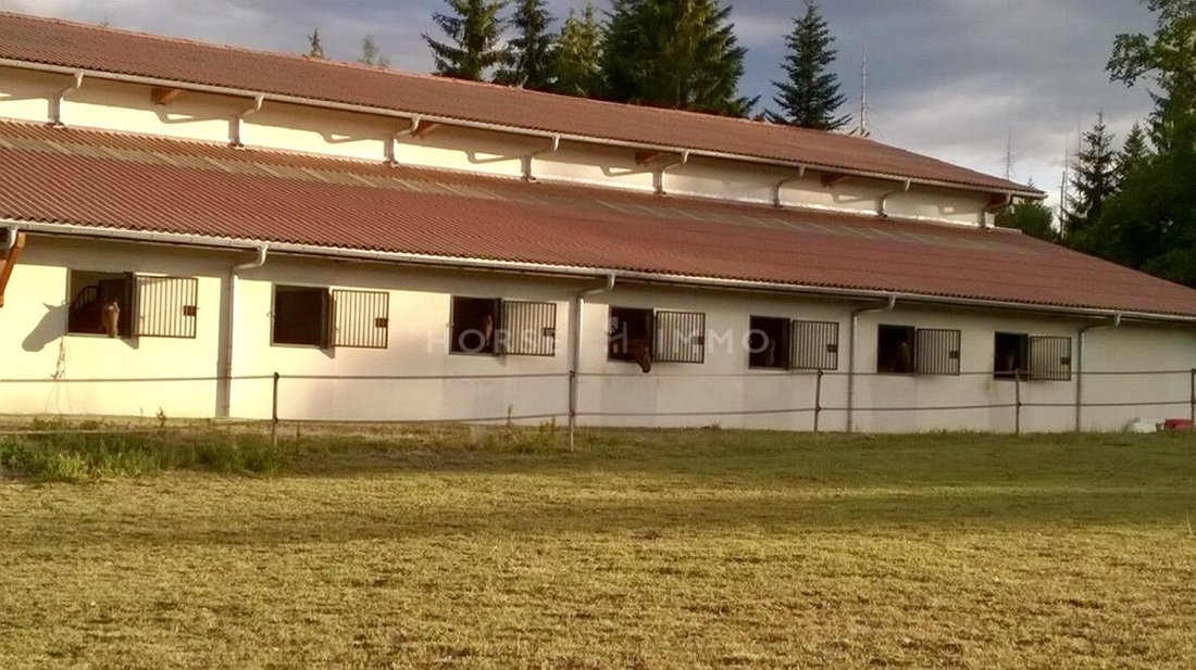 House in Cranves-Sales, Auvergne-Rhône-Alpes, France 4 - 16257865