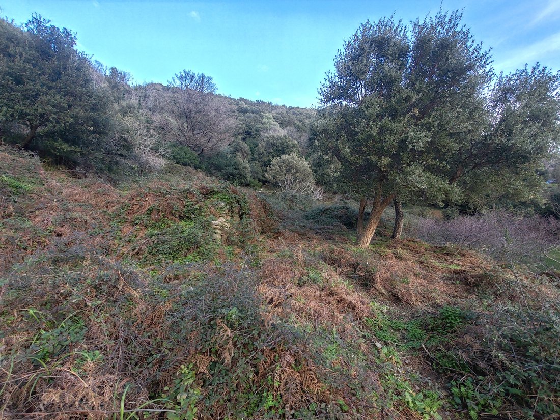 Terreno a Ville di Pietrabugno, Corsica, Francia 4 - 17010367