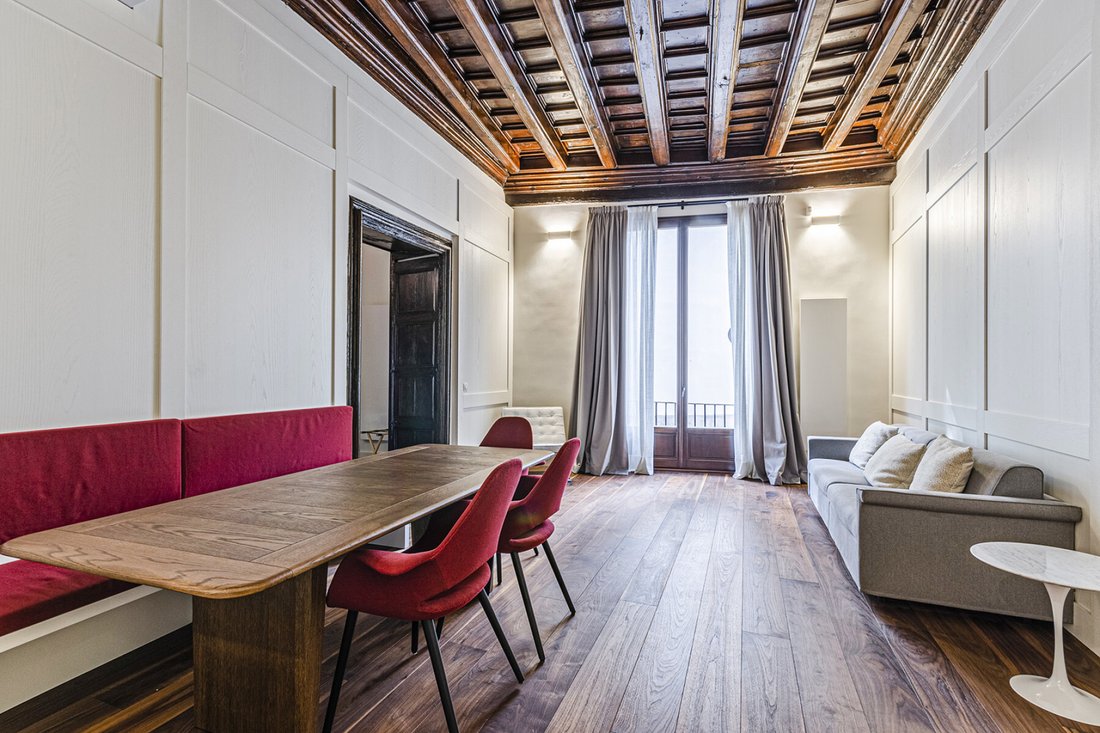 Apartment in Ciutat Vella, Barcelona, Spain 1 - 12616548