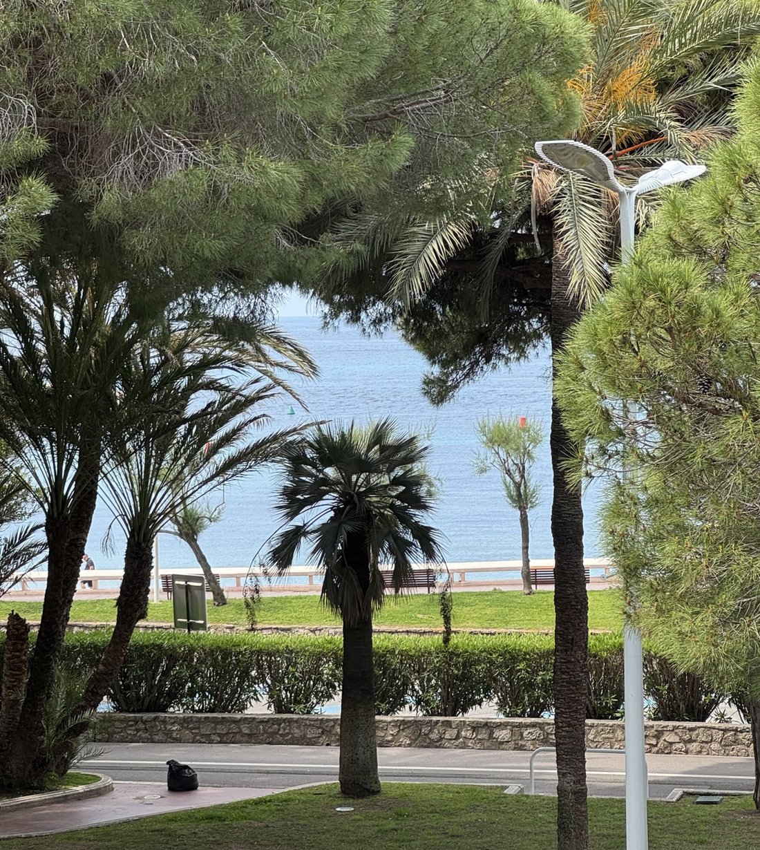 Apartment in Cannes, Provence-Alpes-Côte d'Azur, France 1 - 17013499