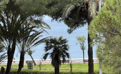 Appartamento a Cannes, Provenza-Alpi-Costa Azzurra, Francia 1