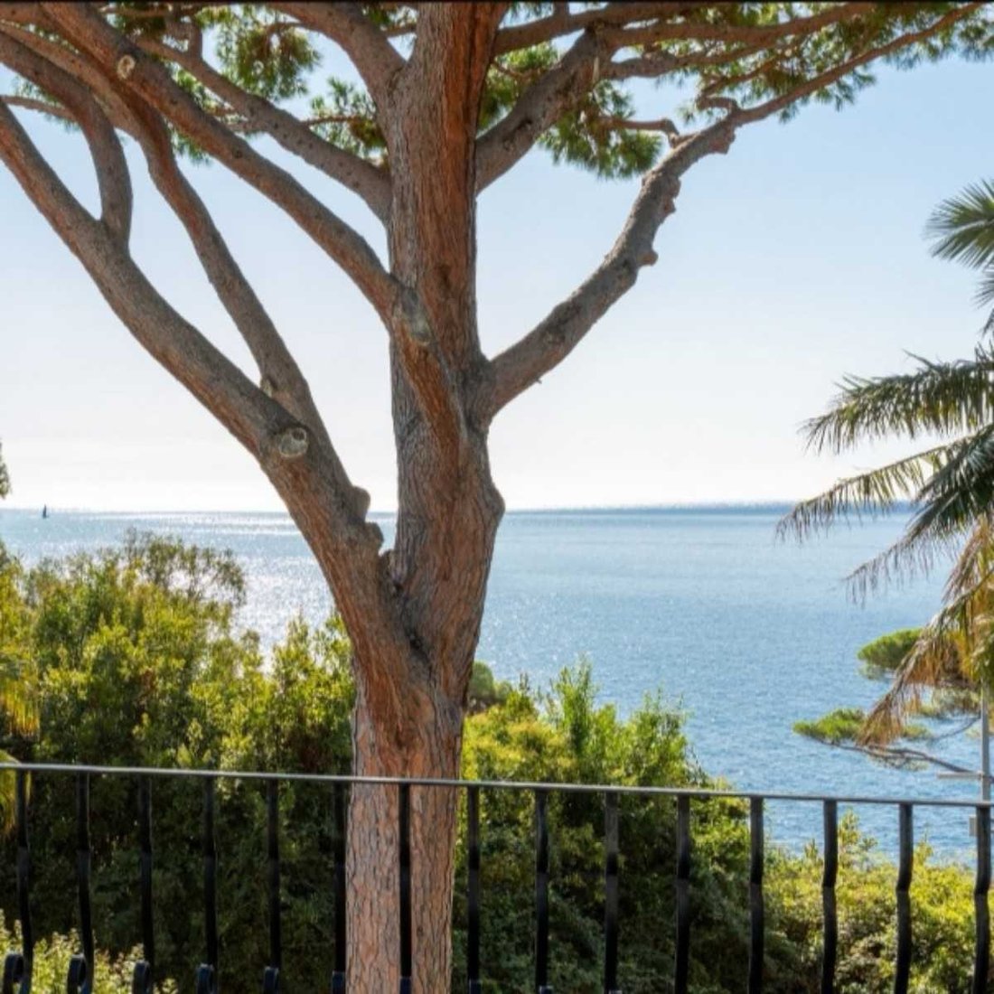 House in La Source, Cannes, France 1 - 17012691