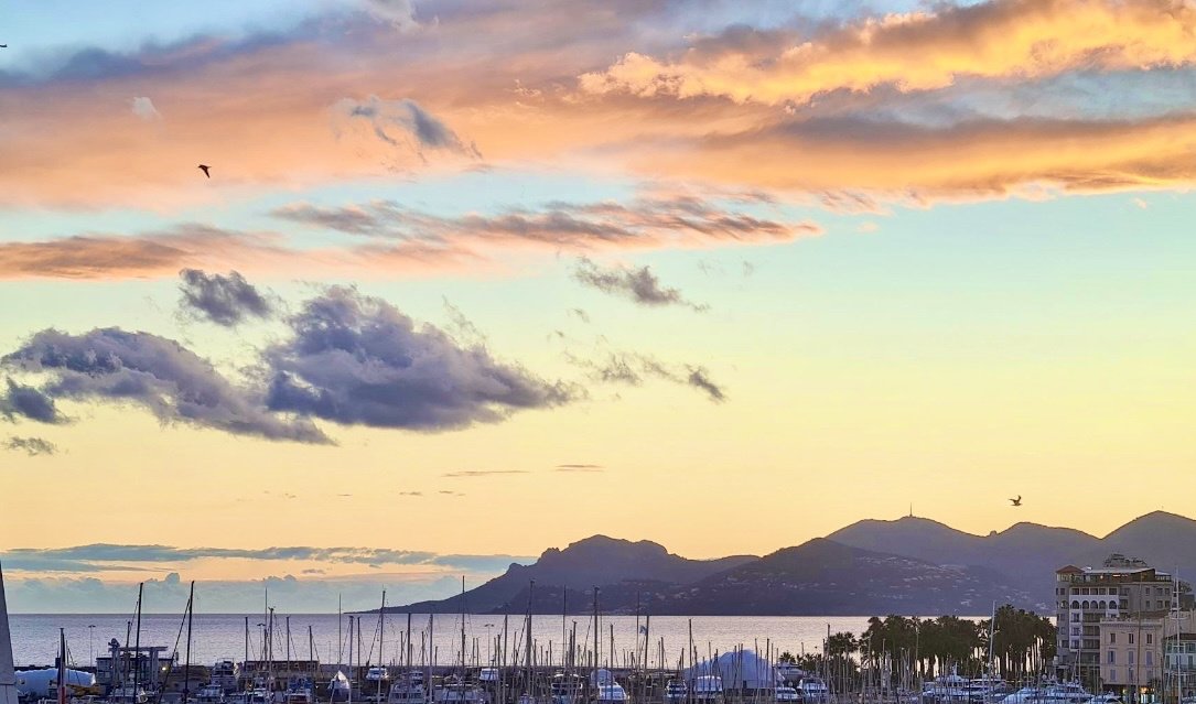Apartment in Cannes, Provence-Alpes-Côte d'Azur, France 1 - 17013003