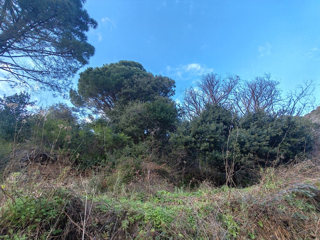 Terreno a Ville di Pietrabugno, Corsica, Francia 3 - 17010367