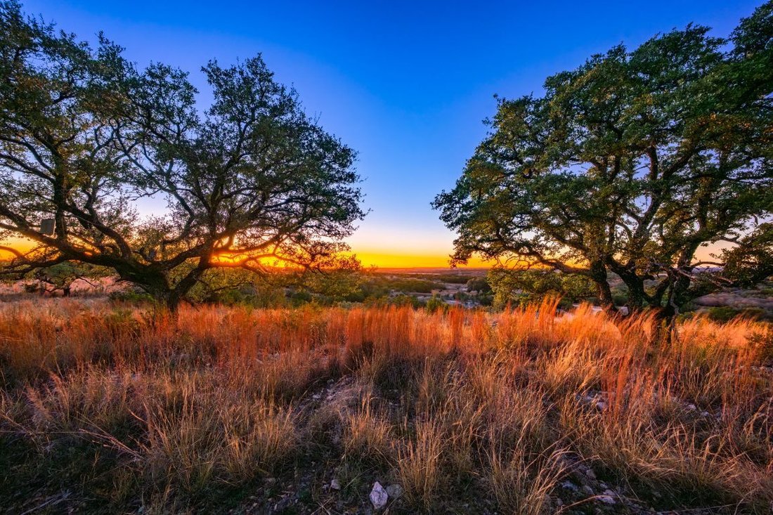 Farm Ranch in Lometa, Texas, United States 4 - 17015644