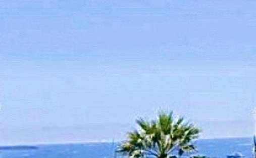 House in Broussailles, Cannes, France 1