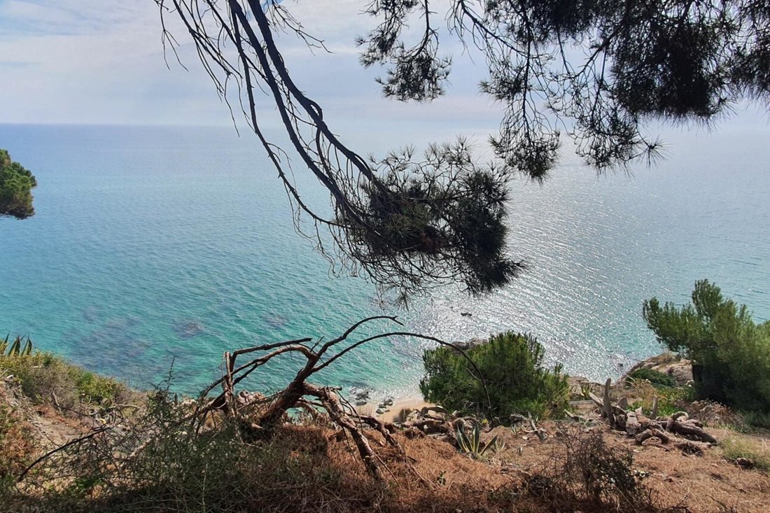 Land in Arenys de Mar, Catalonia, Spain 5 - 12030464