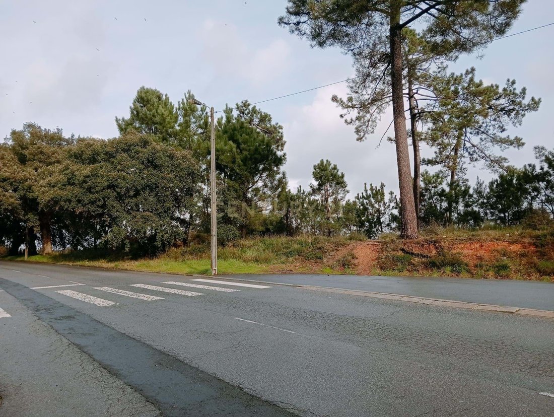 Land in Campanha, Porto District, Portugal 3 - 17010665