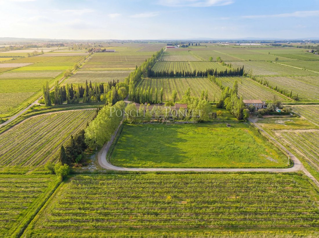 Farm Ranch in Marseillette, Occitania, France 1 - 16958253