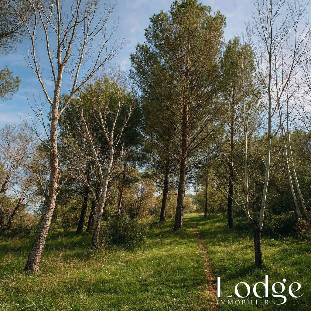Land in Mallemort, Provence-Alpes-Côte d'Azur, France 1 - 17016532