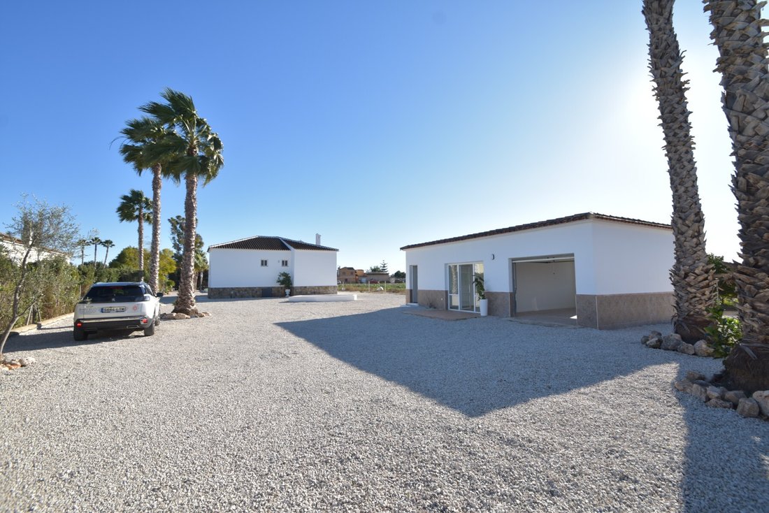 Country House in Dolores, Valencian Community, Spain 4 - 17011609