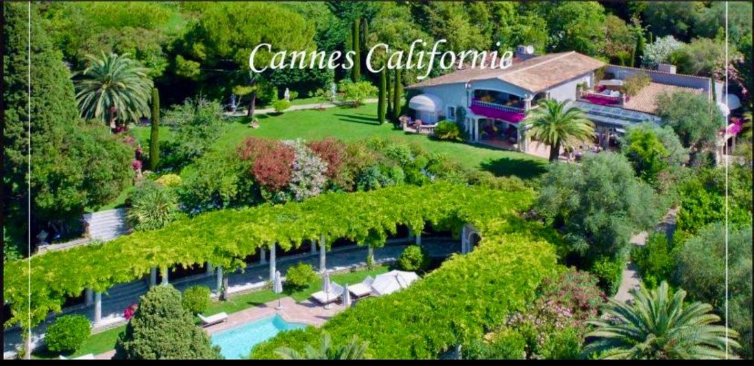House in Cannes, Provence-Alpes-Côte d'Azur, France 1 - 17012937