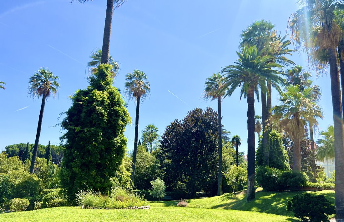 Apartment in Croix des Gardes, Cannes, France 3 - 17012749