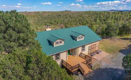 House in Capitan, New Mexico, United States 1