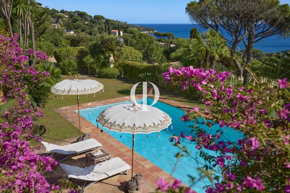 Estate in Nartelle-Noyer-Bellevue-bd des Sardinaux, Sainte-Maxime, France 4 - 17010455