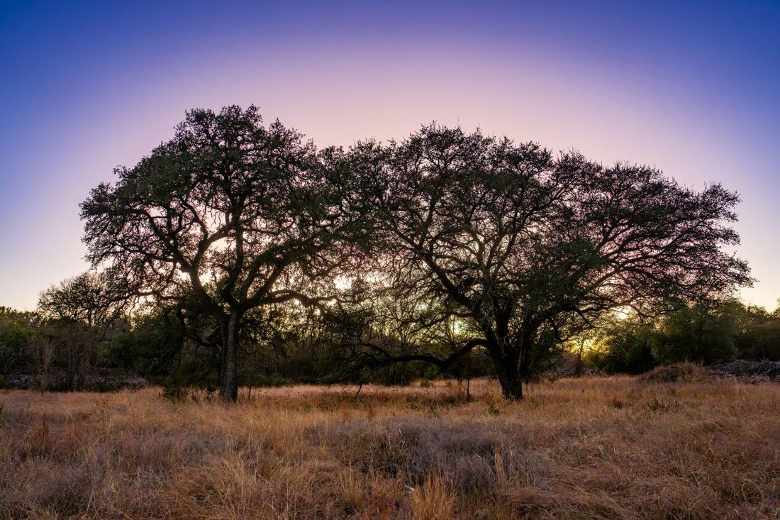 Farm Ranch in Lometa, Texas, United States 5 - 17015644