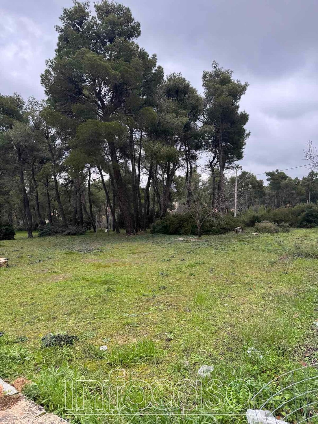 Land in Dionysos, Attica, Greece 2 - 17009832