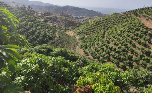 Finca a Angolo della Vittoria, Andalusia, Spagna 1