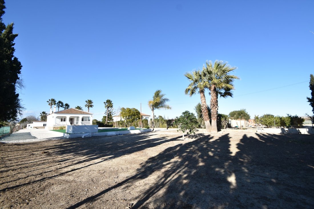 Country House in Dolores, Valencian Community, Spain 3 - 17011609