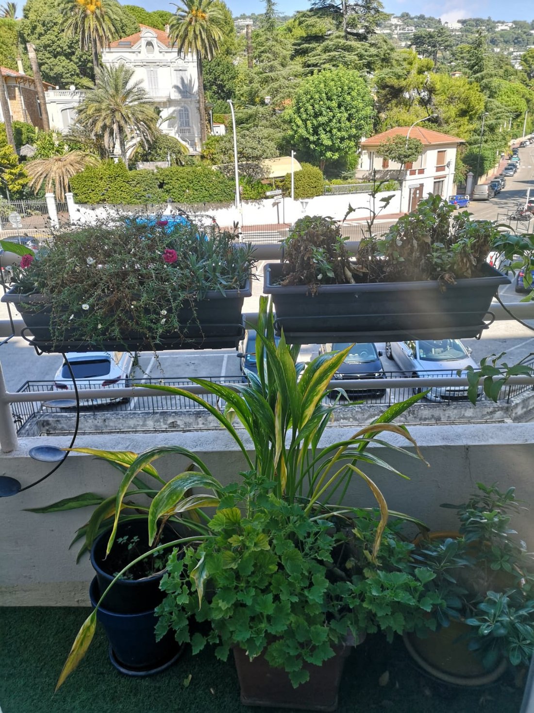 Apartment in La Californie, Cannes, France 5 - 17012767