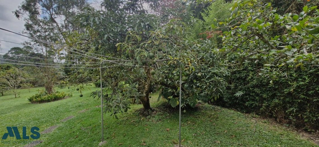 Finca in El Tablazo, Antioquia, Colombia 5 - 17010839