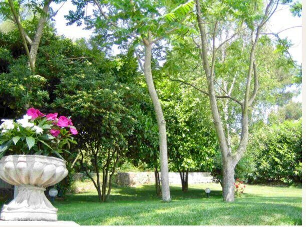 Villa in Mougins, Provence-Alpes-Côte d'Azur, France 4 - 17012906