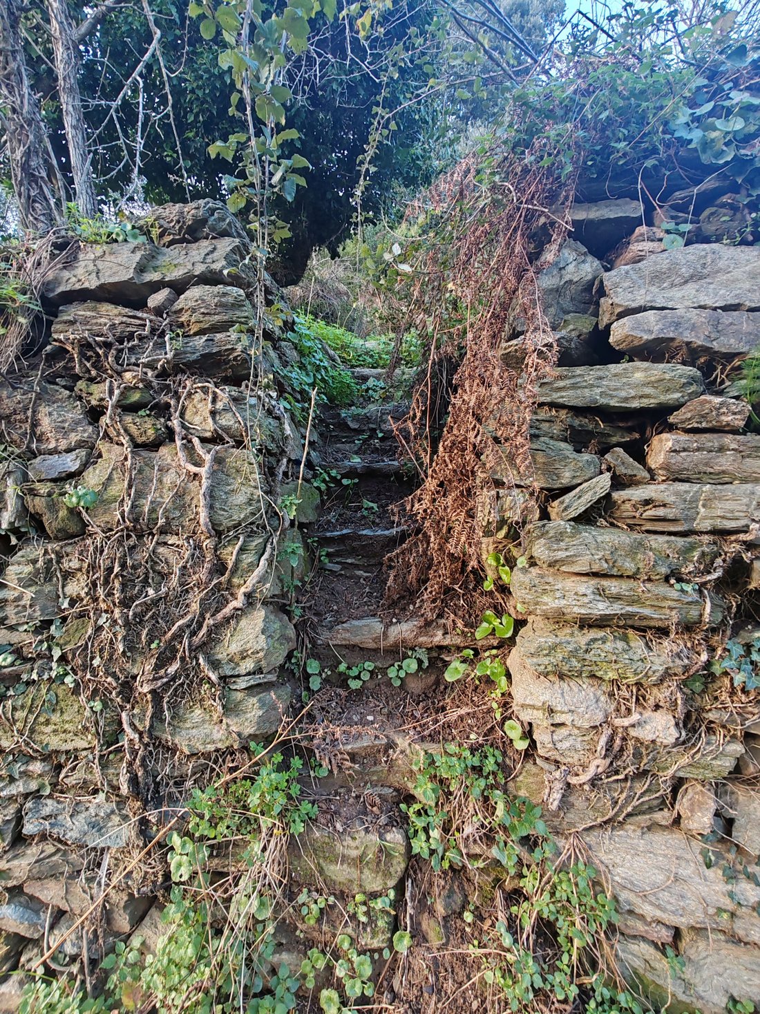 Terreno a Ville di Pietrabugno, Corsica, Francia 5 - 17010367