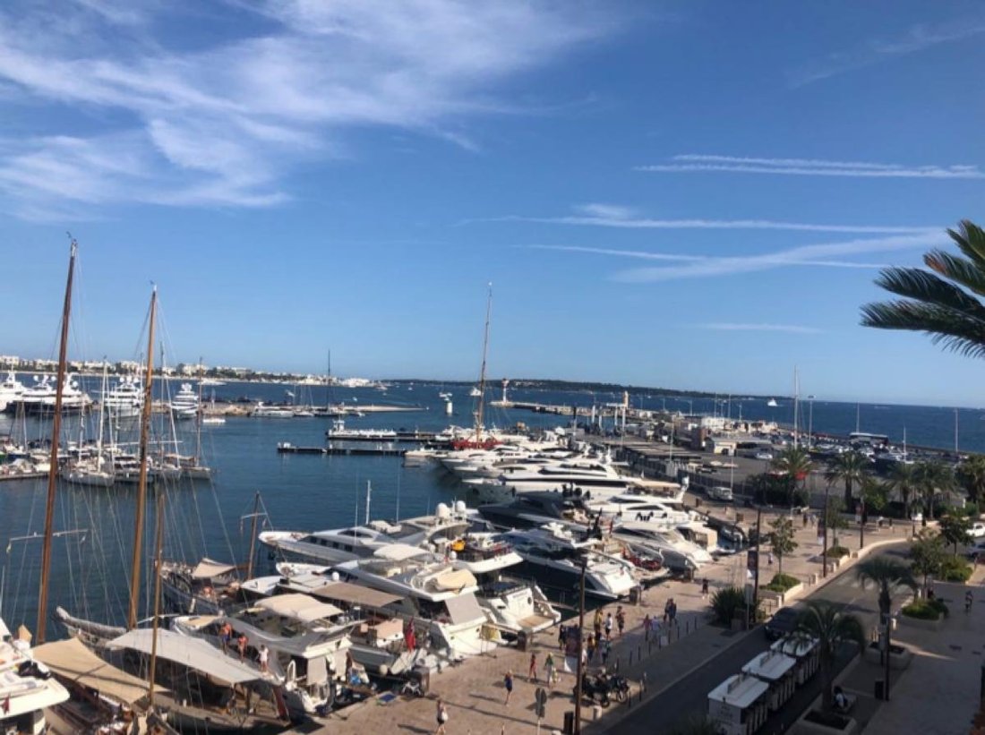 Apartment in Cannes, Provence-Alpes-Côte d'Azur, France 1 - 17012589