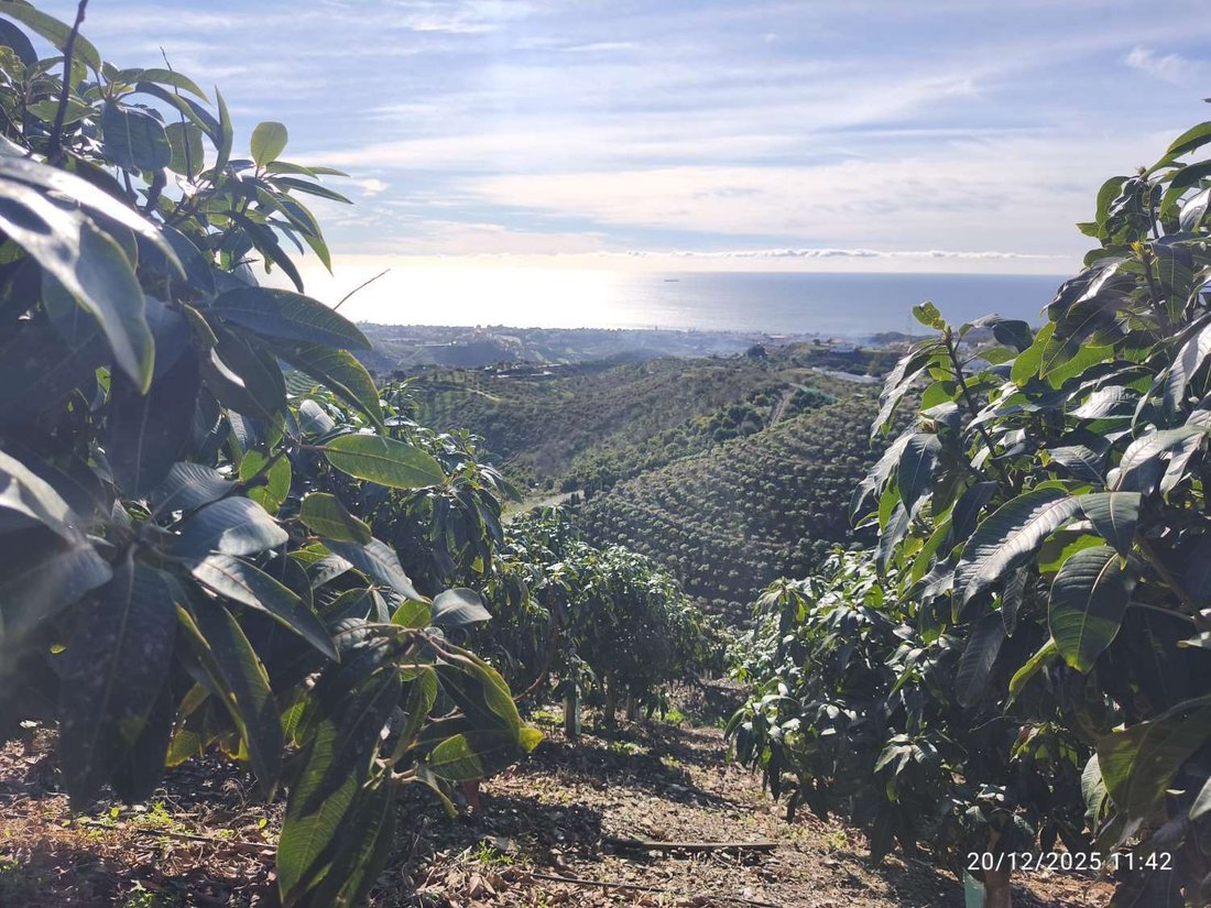 Finca in Rincon de la Victoria, Andalusia, Spain 4 - 17015014