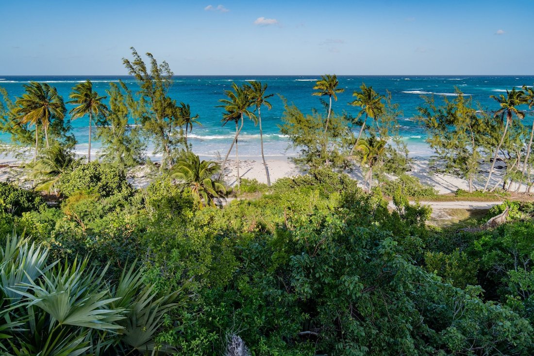 Land in James Pt, North Eleuthera, The Bahamas 4 - 17015878