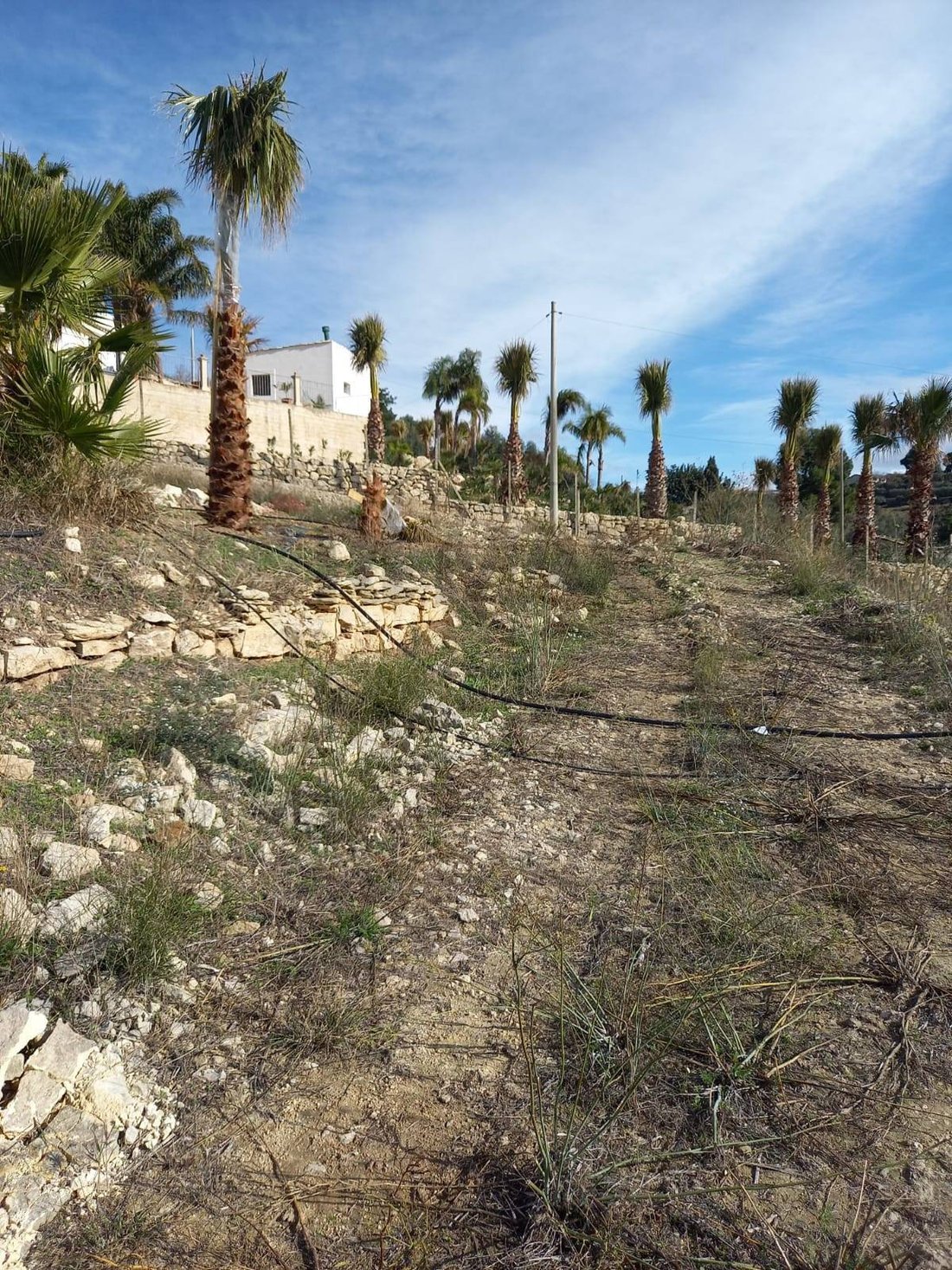 Villa in Chiaramonte Gulfi, Sicily, Italy 4 - 17016137