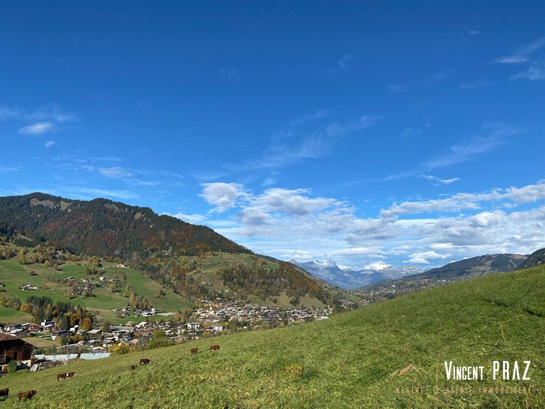 Chalet in Praz-sur-Arly, Auvergne-Rhône-Alpes, France 1 - 17010301