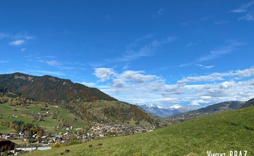 Chalet in Praz-sur-Arly, Auvergne-Rhône-Alpes, France 1