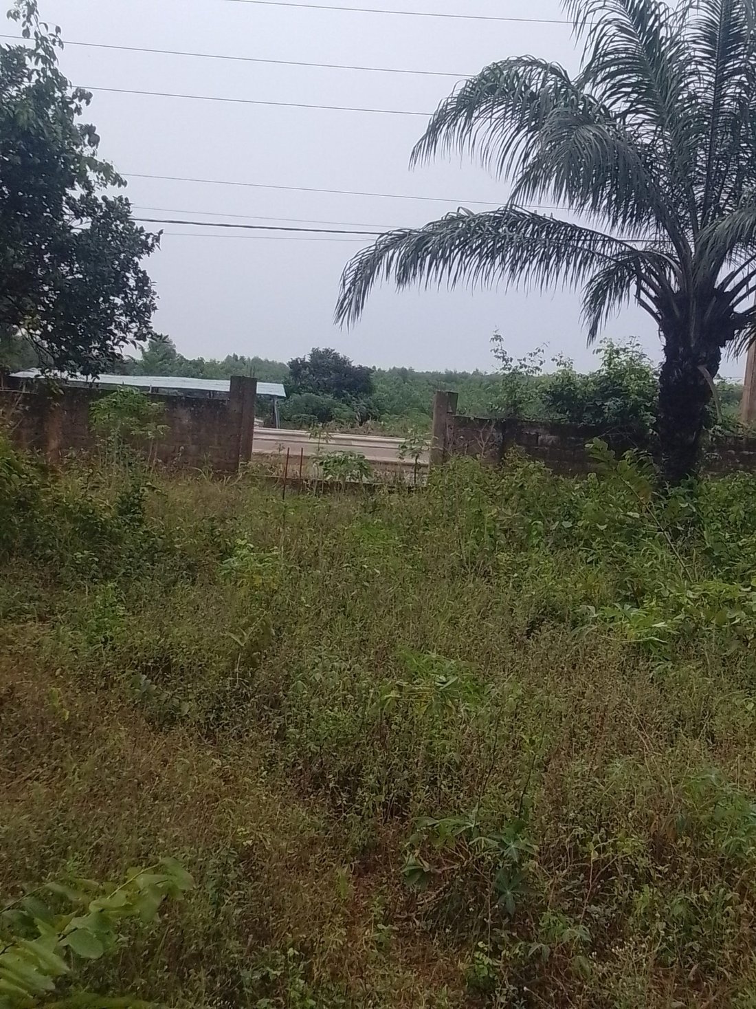 Land in Abomey Calavi, Atlantique Department, Benin 5 - 15705984
