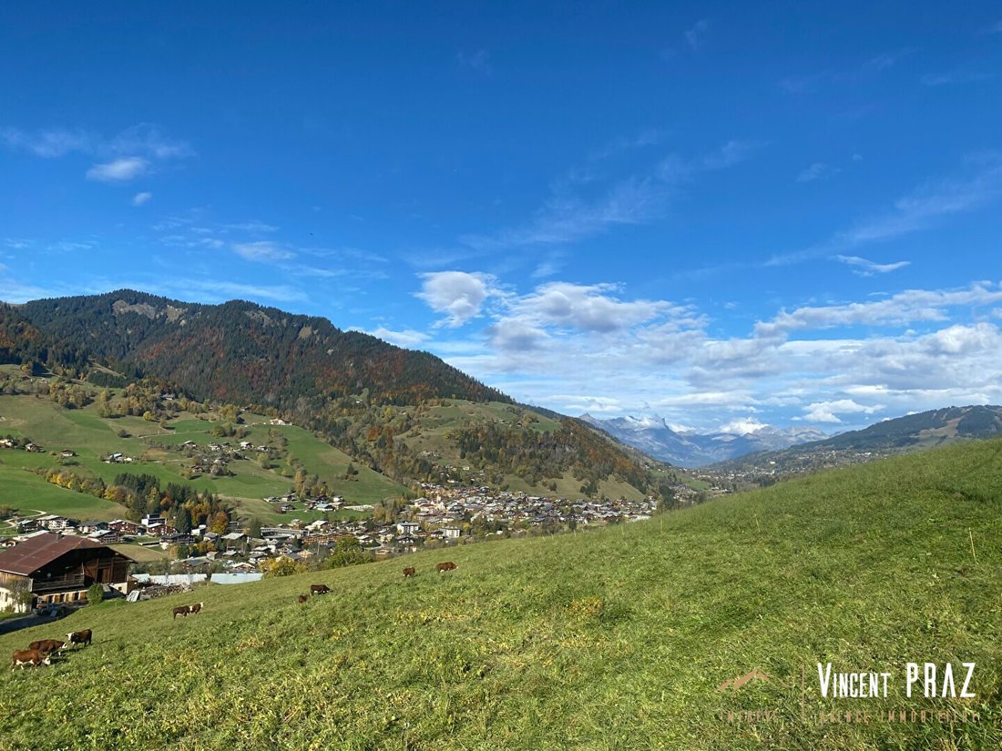 Chalet in Praz-sur-Arly, Auvergne-Rhône-Alpes, France 4 - 17010301