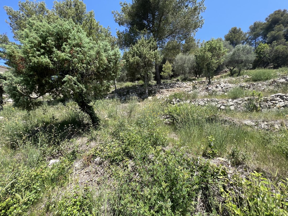 Cantaron, Provence-Alpes-Côte d'Azur, France 1 - 17012676