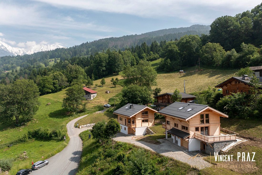 Chalet in Combloux, Auvergne-Rhône-Alpes, France 1 - 17010342