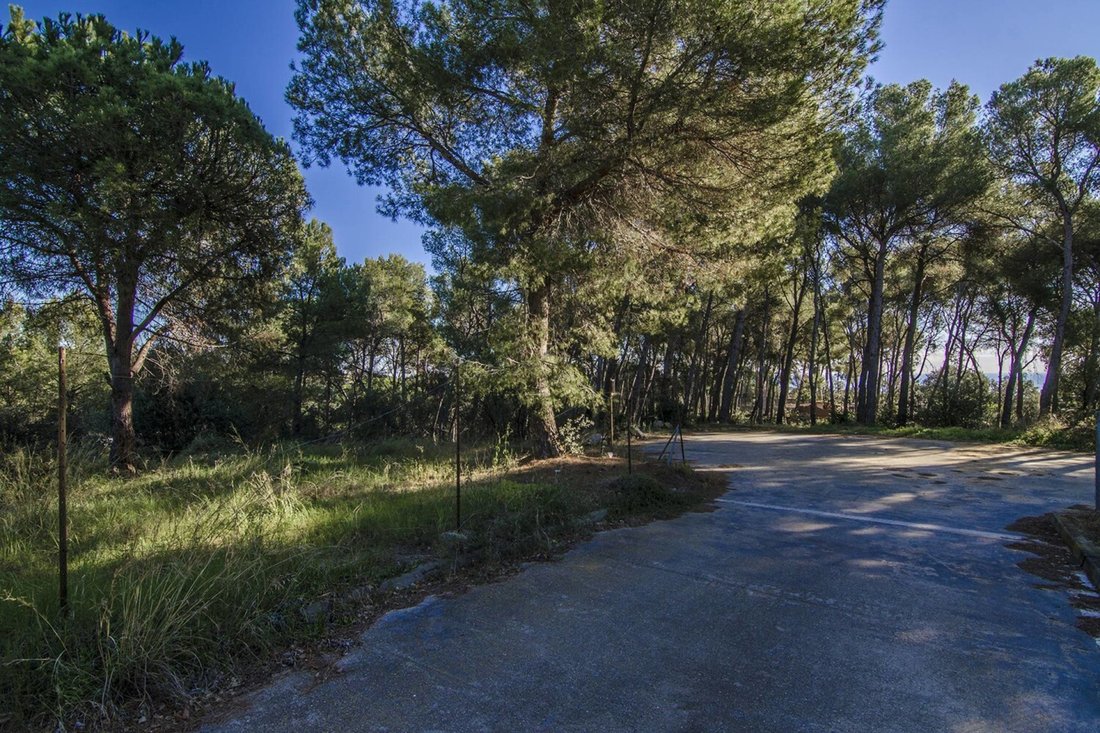Land in Sant Andreu de Llavaneres, Catalonia, Spain 1 - 14612013