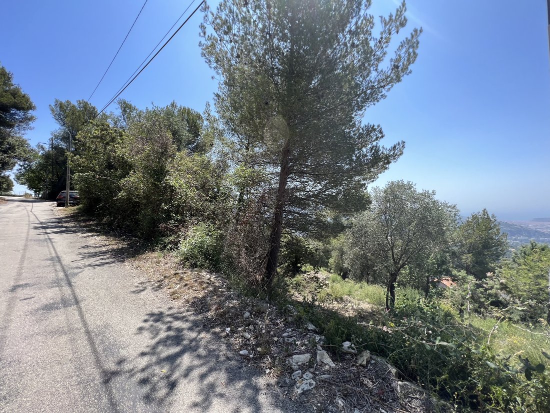 Cantaron, Provence-Alpes-Côte d'Azur, France 2 - 17012676