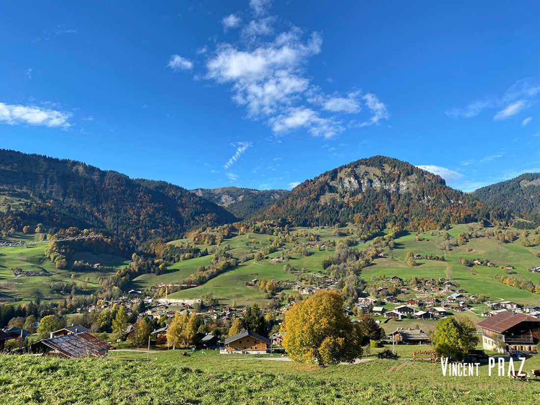 Chalet in Praz-sur-Arly, Auvergne-Rhône-Alpes, France 5 - 17010301