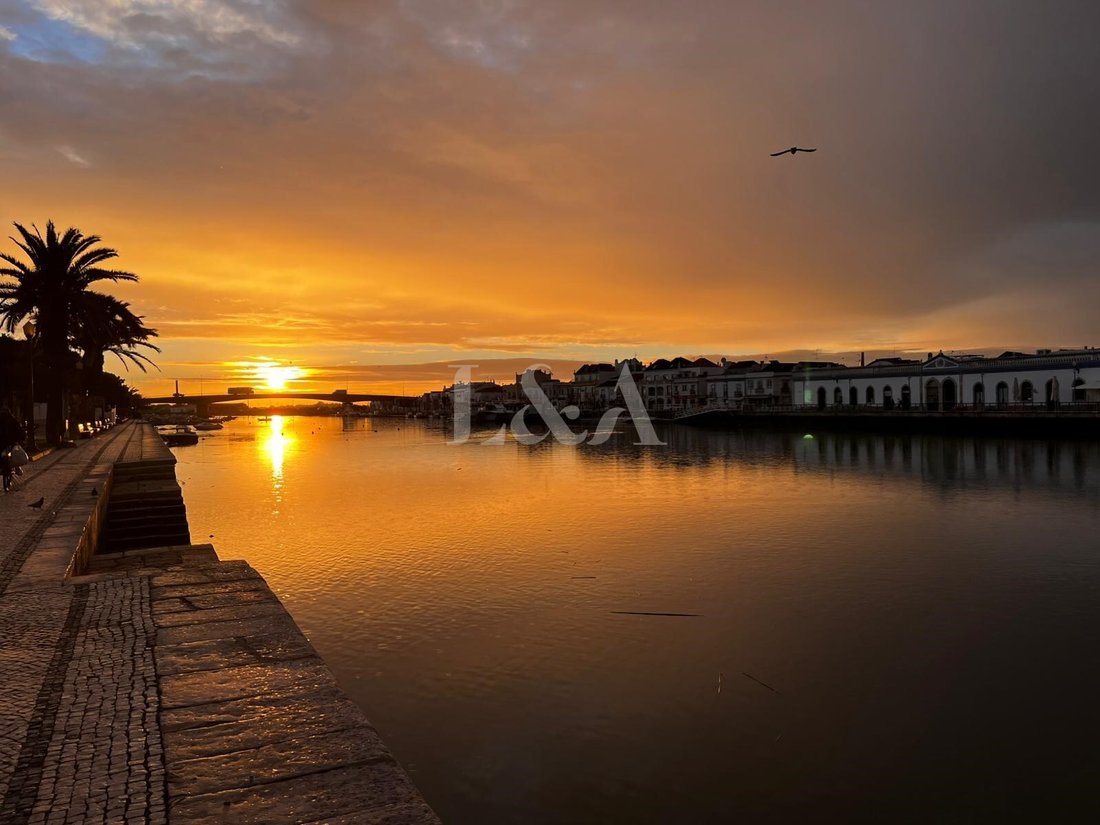 Apartment in Tavira (Santa Maria e Santiago), Algarve, Portugal 1 - 17011780
